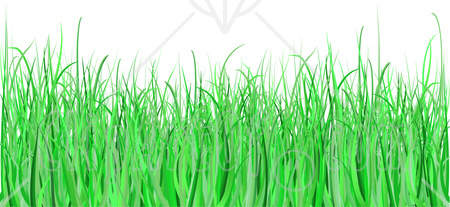Grass Clipart Clipart