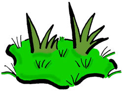 Grass Black And White Images Png Image Clipart