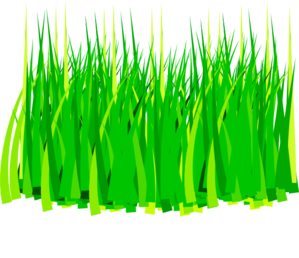 Grass 3 At Clker Vector Png Images Clipart