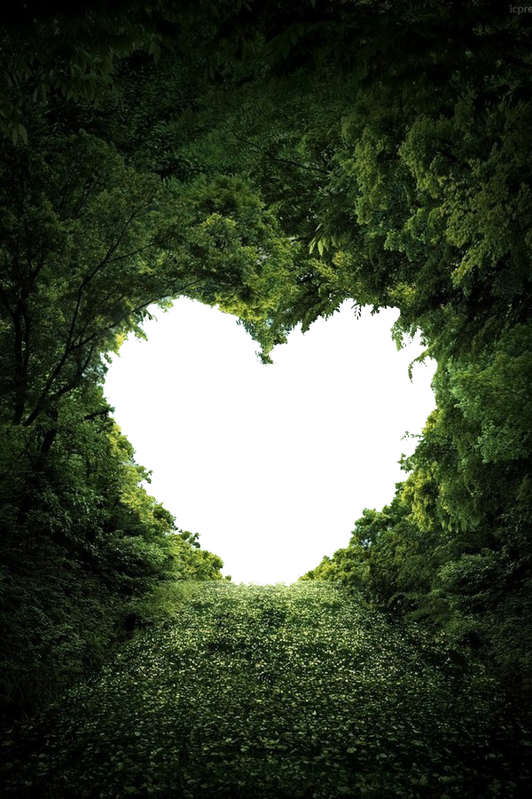 Heart Love Valentine'S Wallpaper Day Nature Clipart
