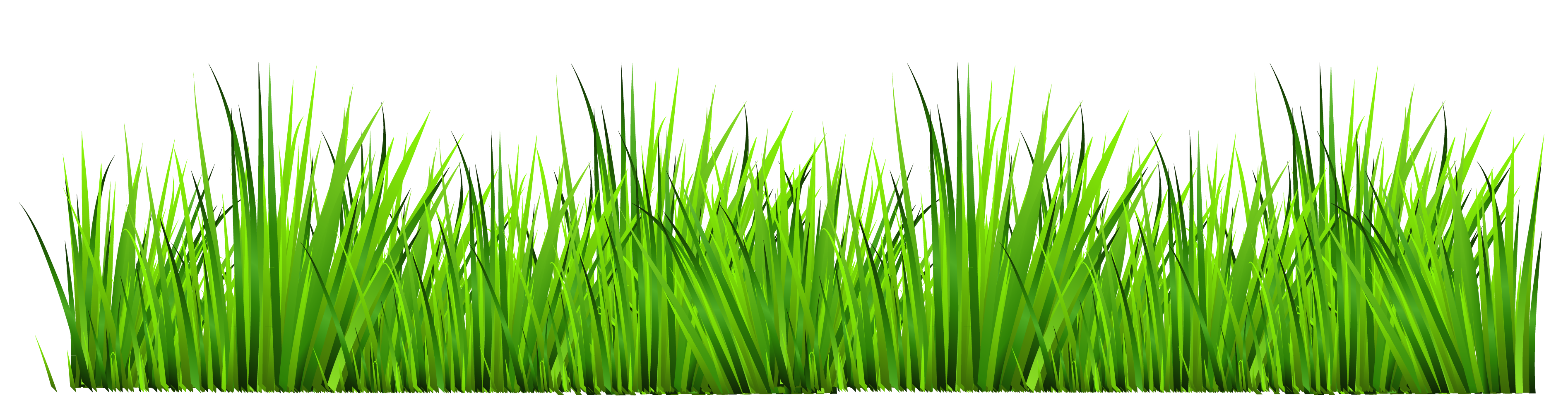 Grass Images Free Download Clipart