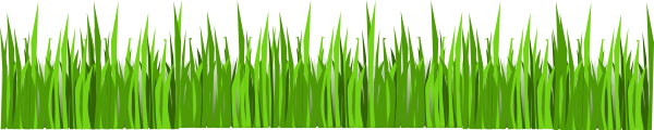 Grass Field Images Download Png Clipart
