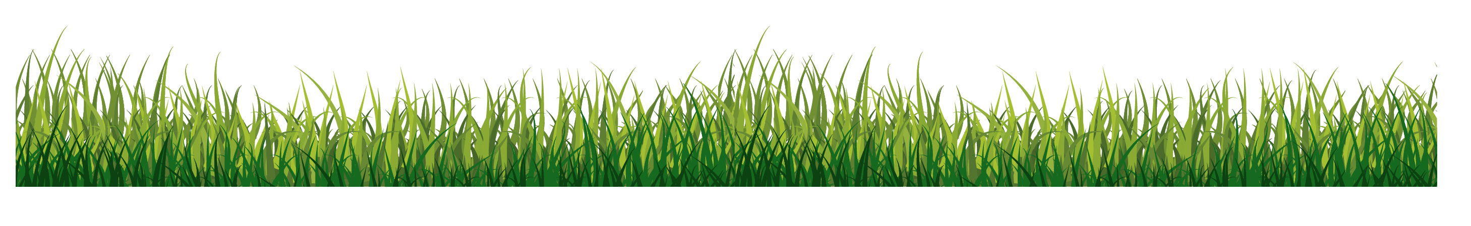 Grasses Grass Green Free Photo PNG Clipart