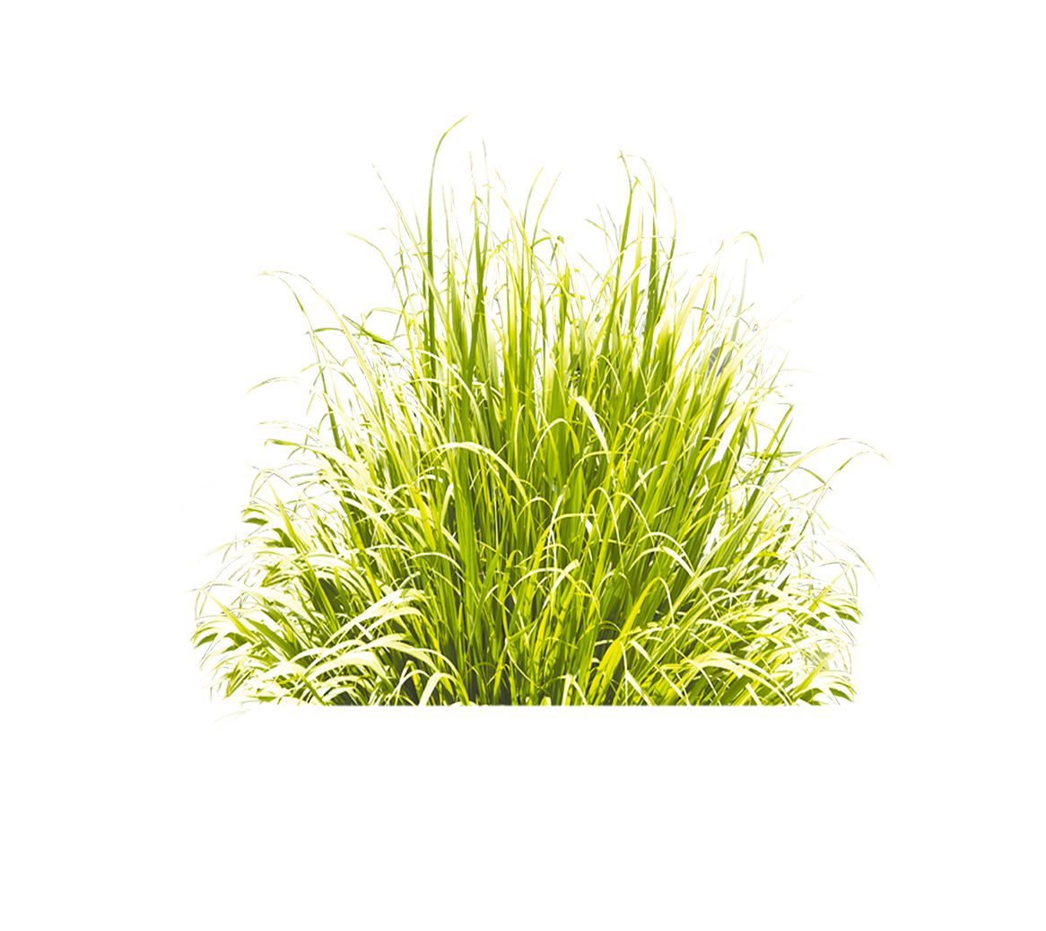 Grass Green Icon Download Free Image Clipart