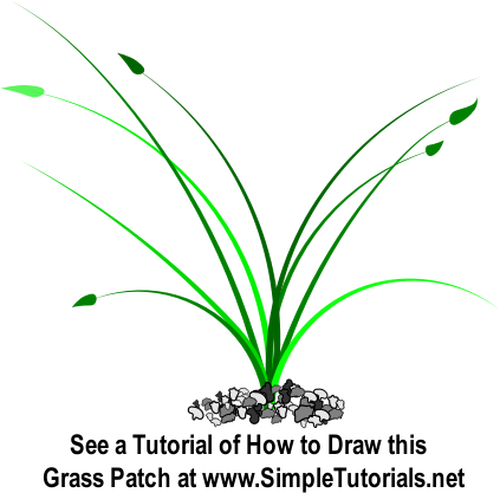 Of Wide Growing Grass Patch Clipart