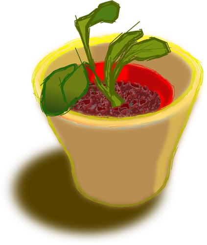 Of Plant In Two Pots Clipart