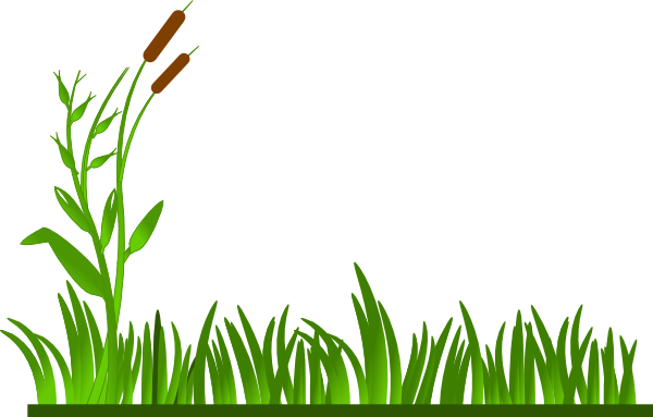 Grass Field Images Png Image Clipart