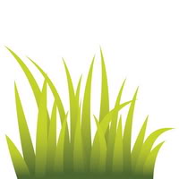 Grass For You Free Download Png Clipart