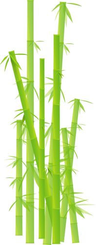 Of Bamboo Stalks Clipart