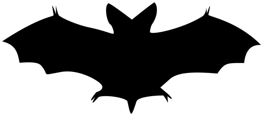 Free Halloween Bat The Graphics Fairy Clipart