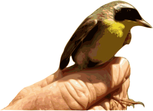 Yellow Throat Bird On A Hand Clipart
