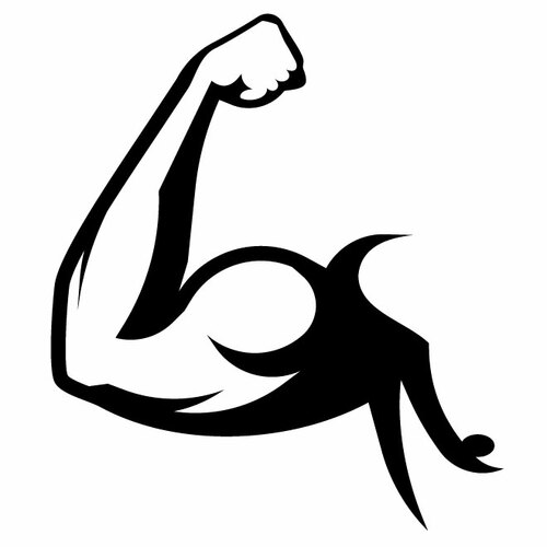 Biceps Muscle Clipart