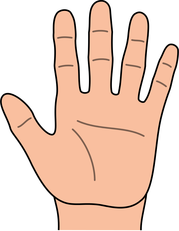 Hands Hand Outline Kid Png Image Clipart