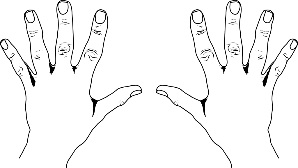 Hands Hand Images Png Image Clipart