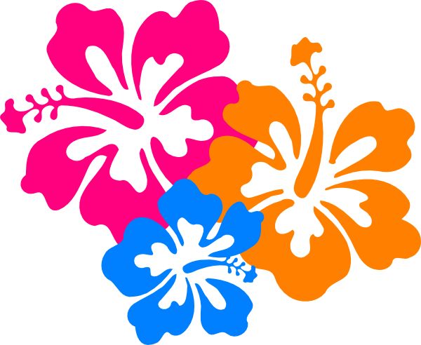 Hawaiian Flower Borders Images Download Png Clipart