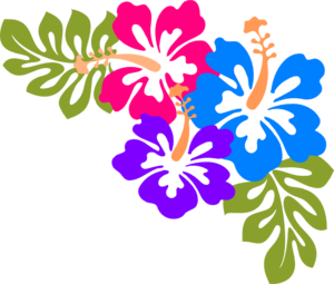Hawaiian Flower Borders Images Free Download Clipart