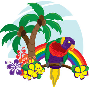Hawaiian Bird Hd Image Clipart