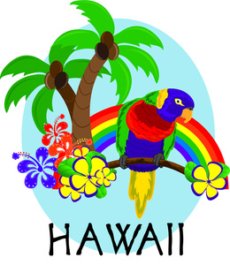 Hawaiian Hawaii Kid Png Image Clipart