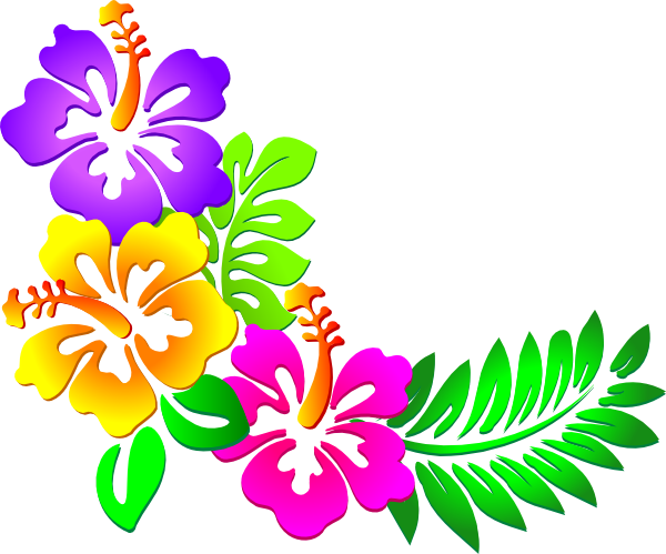 Luau Borders Images Download Png Clipart