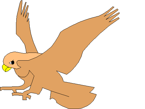 Hawk Clipart Clipart