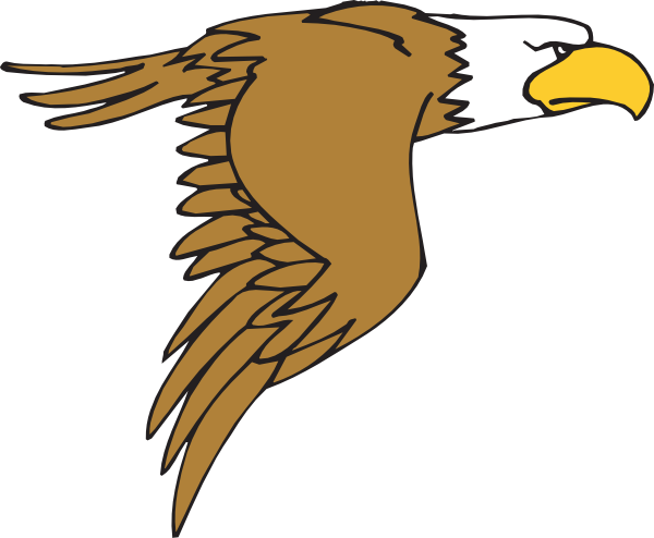 Free Hawk The Free Download Png Clipart
