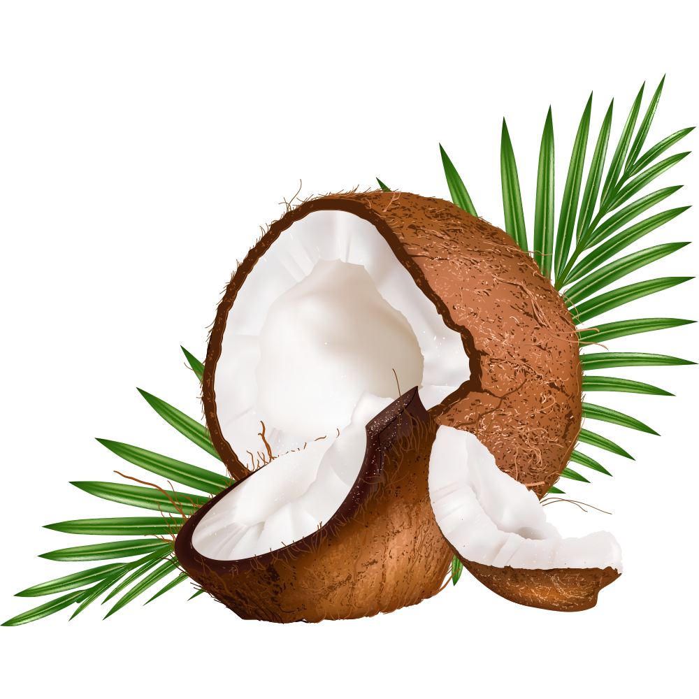Water Euclidean Coconut Vector Milk PNG Free Photo Clipart