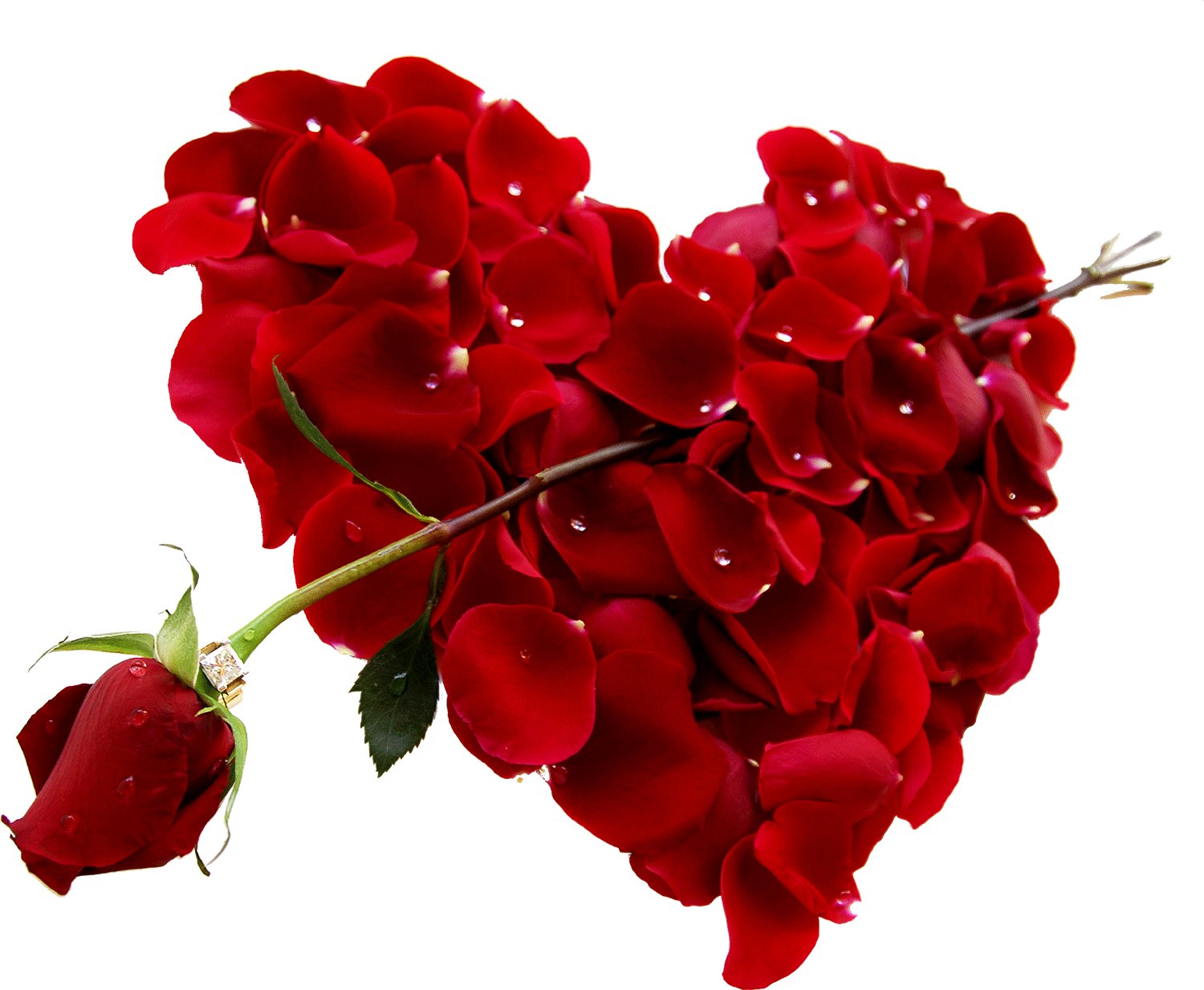 Decorative Heart February 14 Gift Valentine'S Rose Clipart