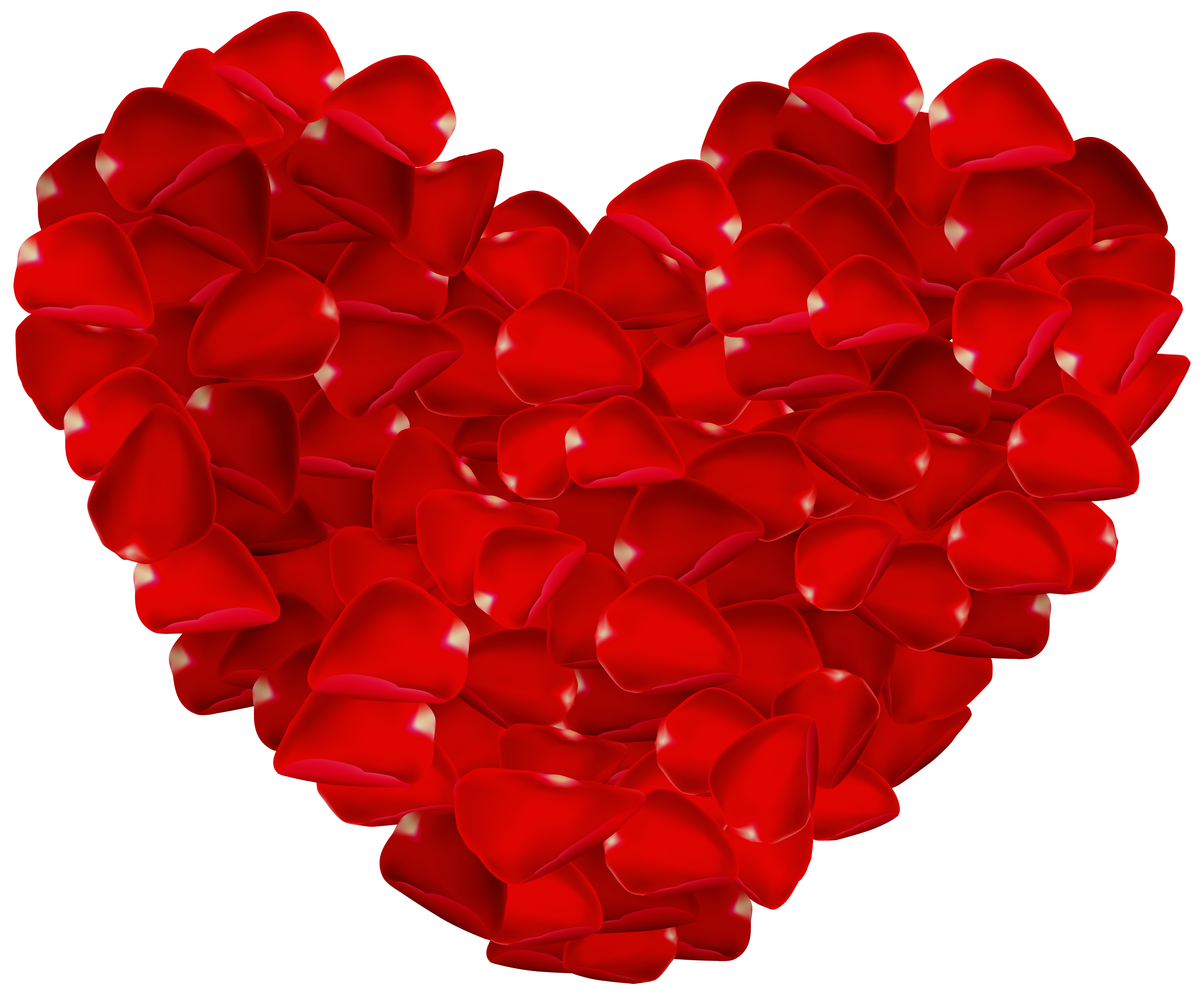 Heart Rose Petals Petal Network Graphics Portable Clipart