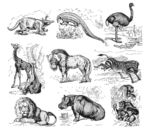 African Animals Collection Clipart