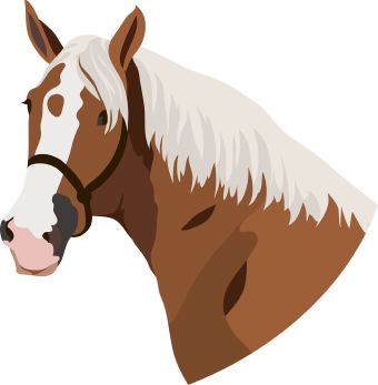 Horse Black And White Images Free Download Clipart
