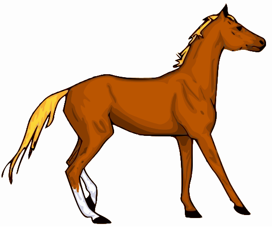 Horse Animal Animals Image Png Clipart