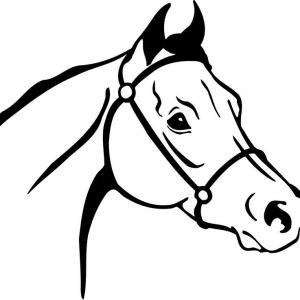 Cute Horse Head Illustration Png Image Clipart