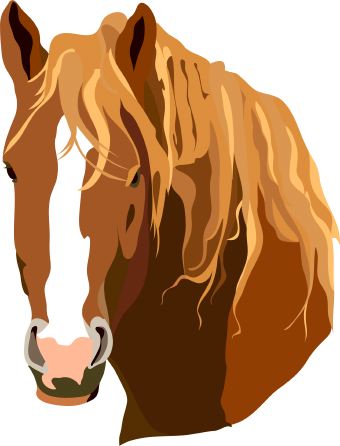 Horse Free Download Png Clipart