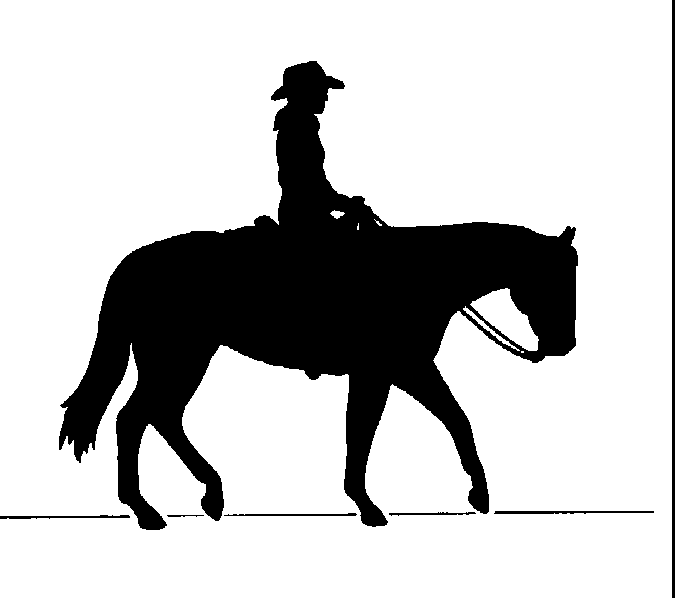 Horse Riding Download Png Clipart