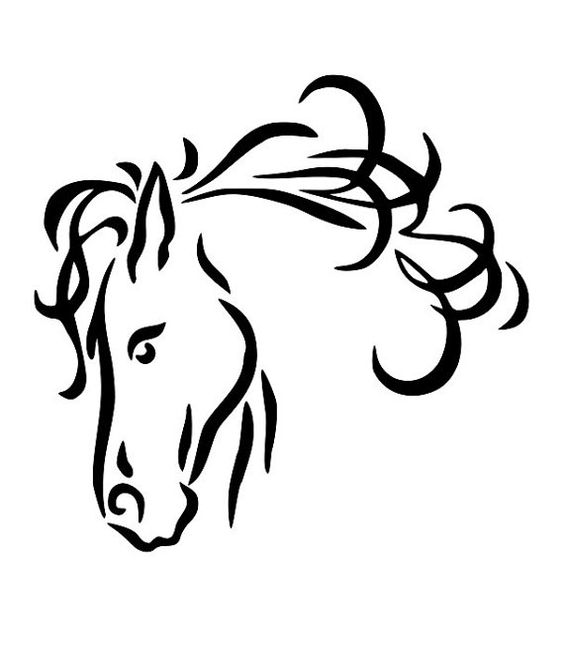 Horse Line Drawings Horse Head Line Drawing Clipart