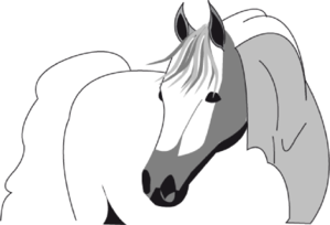 Horse Head At Vector Free Download Png Clipart