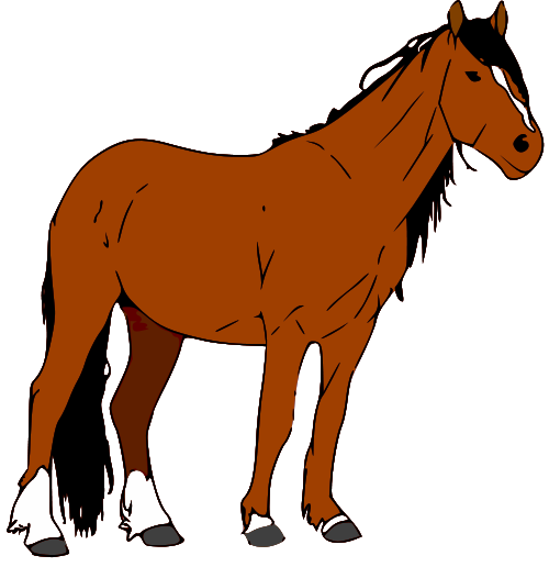 Horse Download Png Clipart
