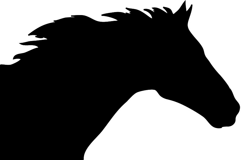Horse Head Download On Clipart Clipart