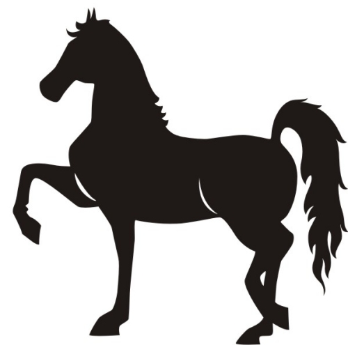 Horse Black And White Silhouettes Hd Photos Clipart