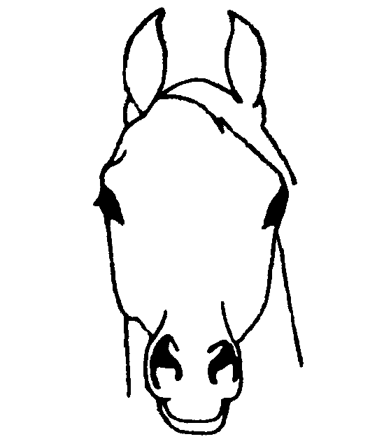 Arabian Horse Head Images Png Image Clipart