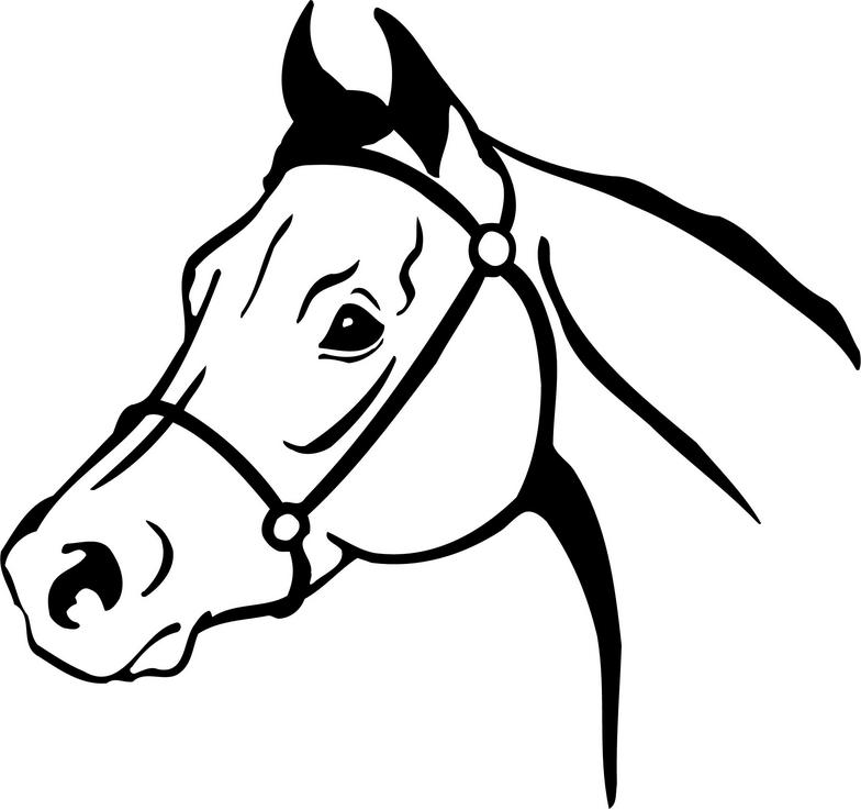 Arabian Horse Head Images Clipart Clipart