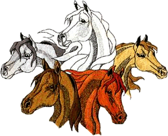 Clipart Horses Page Png Image Clipart