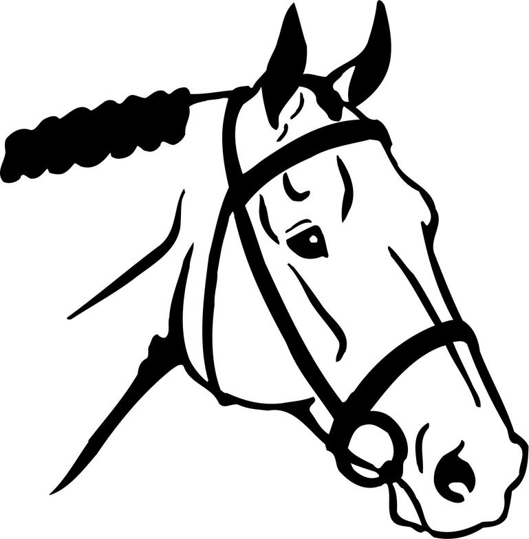 Arabian Horse Head Images Image Png Clipart