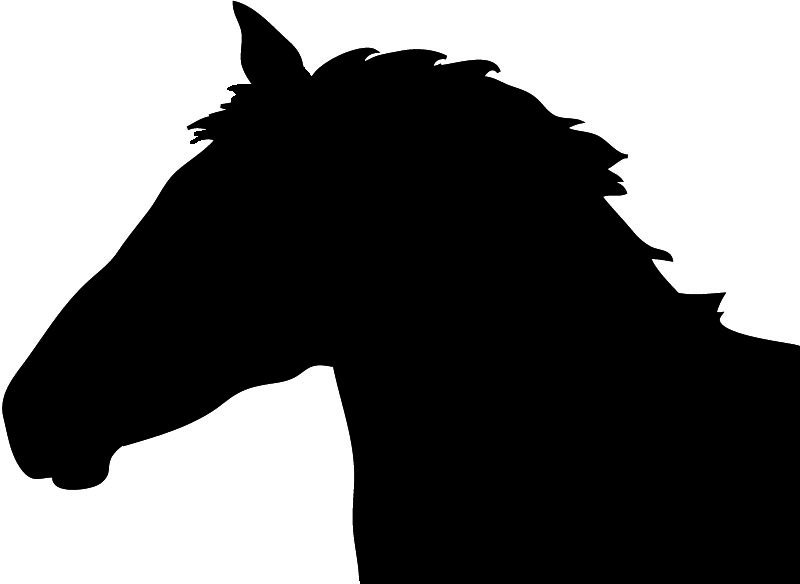 Horse Head Silhouette Png Image Clipart