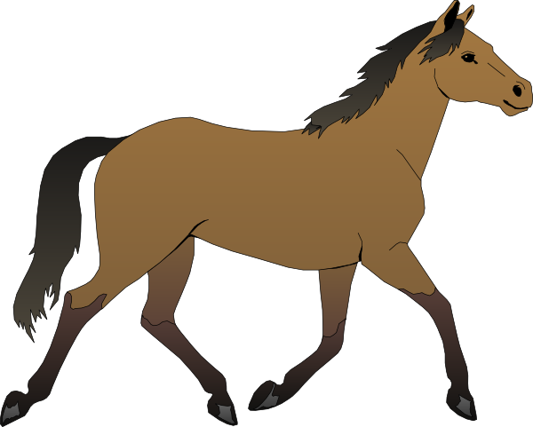 Cute Horse Head Images Hd Image Clipart