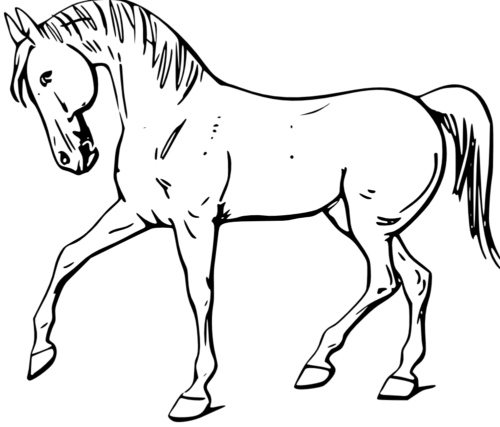 Cartoon Horse Hd Image Clipart