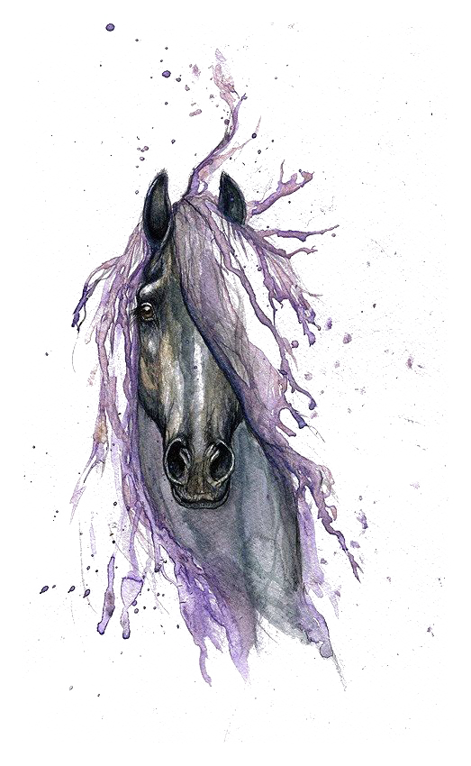 Watercolor Tattoo Horse Painting Drawing HQ Image Free PNG Clipart