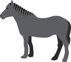Horse Silhouette Vector For Download About Clipart