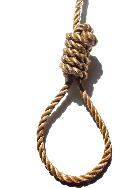 Horse Suicide Rope Knot Hanging Noose Grass Clipart