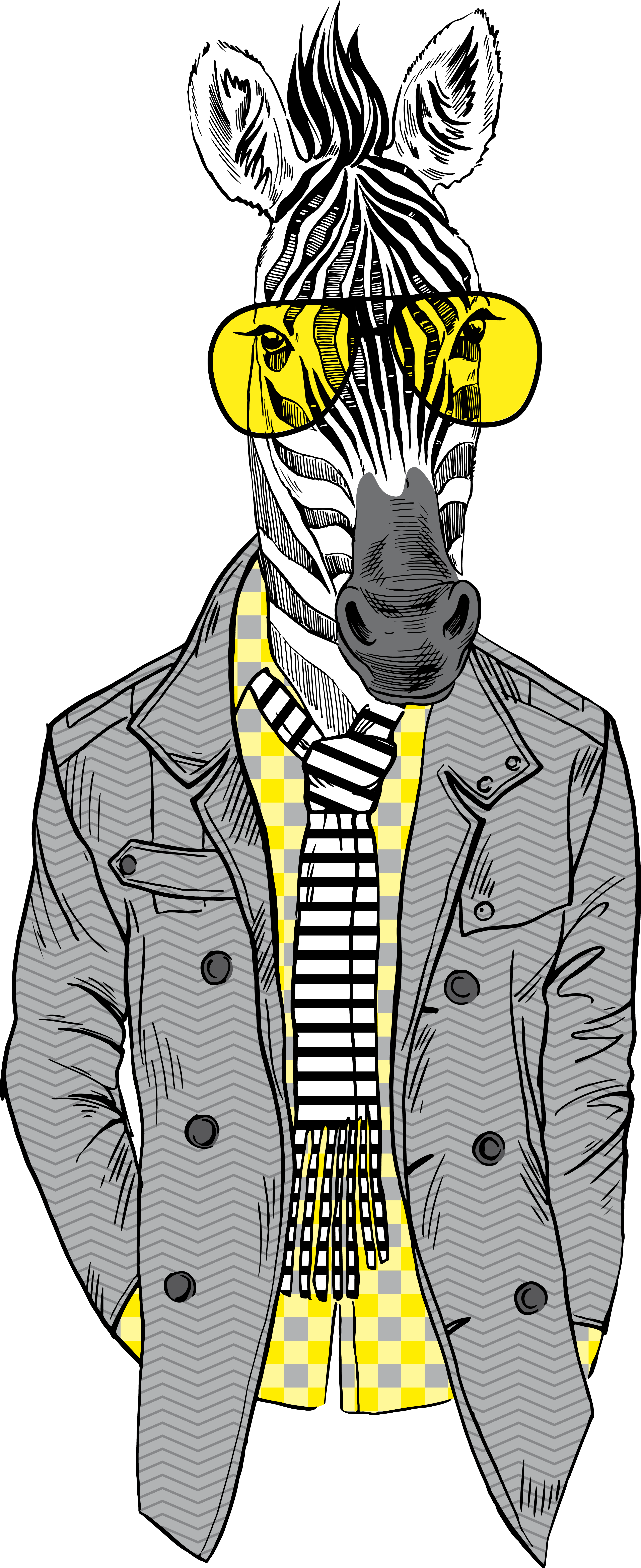 Bespectacled Horse Fashion Zebra Illustration Free Clipart HD Clipart